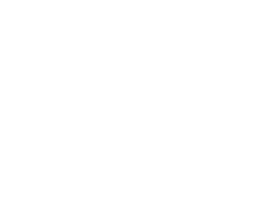Trading Akademija